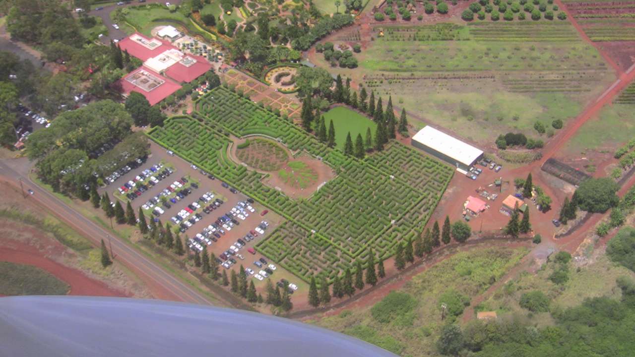 click to view full size photo Dole plantation, the largest maze in the world.