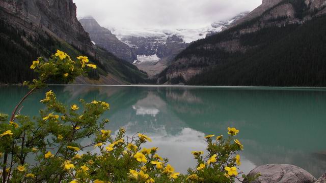 Resize of F. Lake Louise. SANY0162