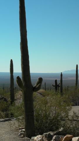 click to view full size photo Resize of Rotation of SANY0034