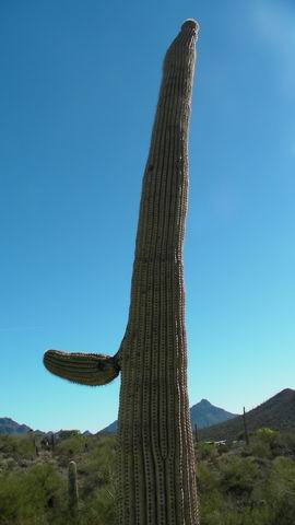 click to view full size photo Resize of Rotation of SANY0036