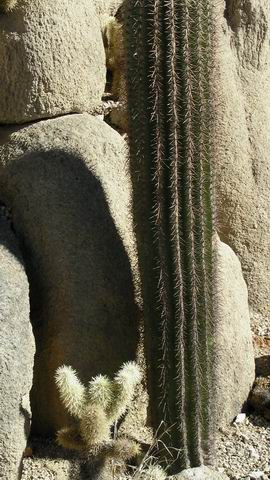 click to view full size photo Resize of Rotation of SANY0042