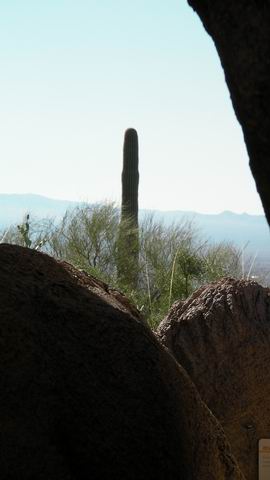 click to view full size photo Resize of Rotation of SANY0046