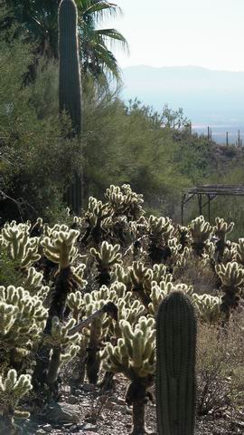 click to view full size photo Resize of Rotation of SANY0095