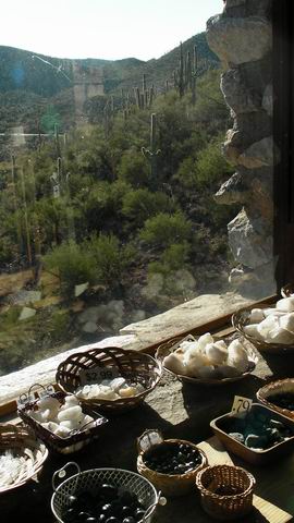 click to view full size photo Resize of Rotation of SANY0137