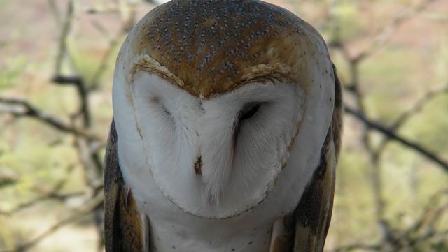 click to view full size photo Resize of SANY0016