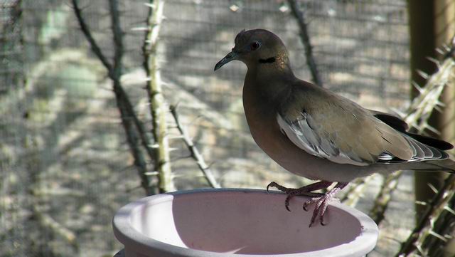 click to view full size photo Resize of SANY0086