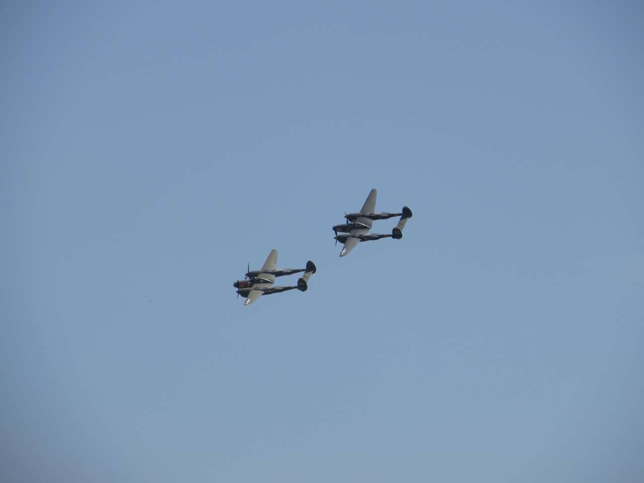 click to view full size photo P-38s