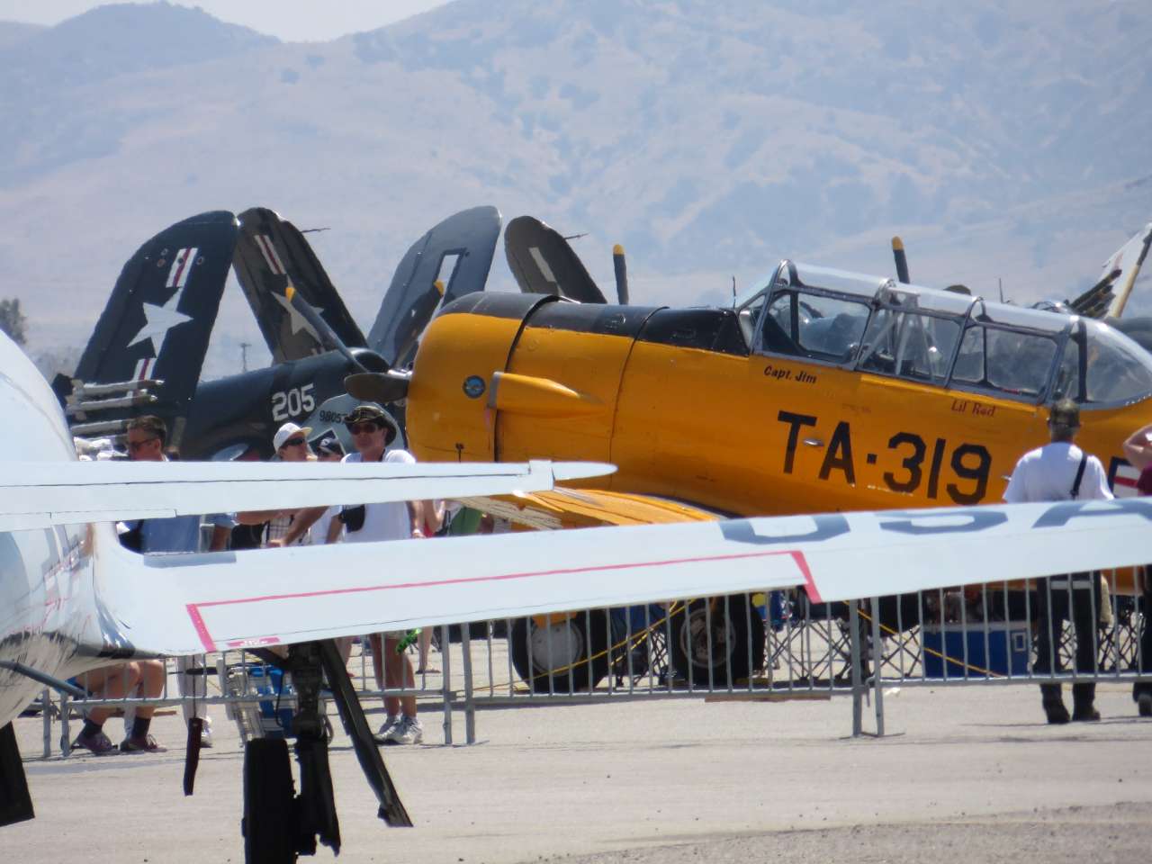 click to view full size photo War birds