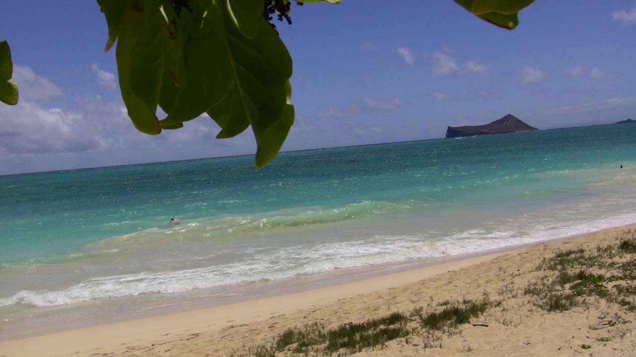 click to view full size photo The beach we stay in Oahu