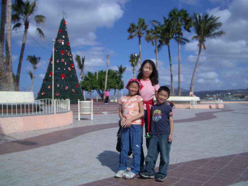 click to view full size photo Christmas_tree_at_Twon_Center_Malecon
