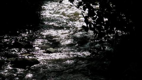 click to view full size photo SANY0025