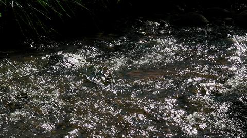 click to view full size photo SANY0026