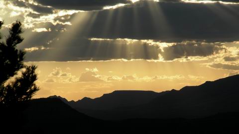 click to view full size photo SANY0067